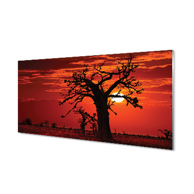 Acrylglasbilder Bäume himmel wolken