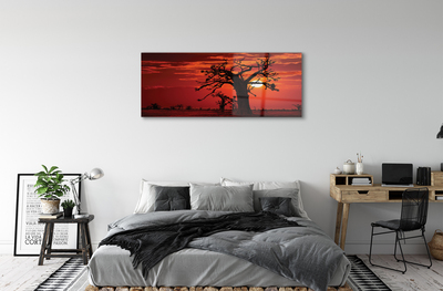 Acrylglasbilder Bäume himmel wolken