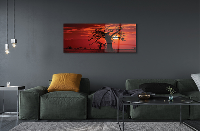 Acrylglasbilder Bäume himmel wolken