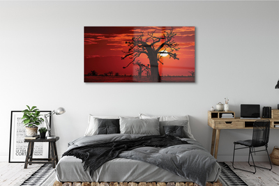 Acrylglasbilder Bäume himmel wolken