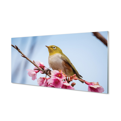 Acrylglasbilder Vogel auf einem ast