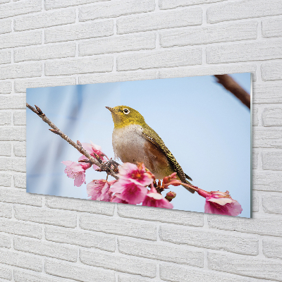 Acrylglasbilder Vogel auf einem ast