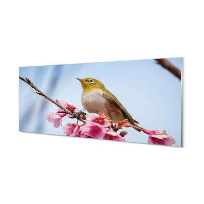 Acrylglasbilder Vogel auf einem ast