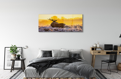 Acrylglasbilder Deer sonnenaufgang wintersonne