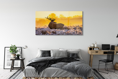 Acrylglasbilder Deer sonnenaufgang wintersonne