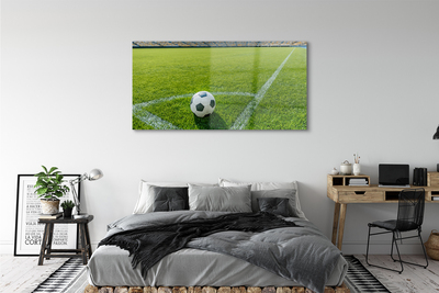 Acrylglasbilder Fußballstadion gras