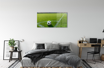 Acrylglasbilder Fußballstadion gras