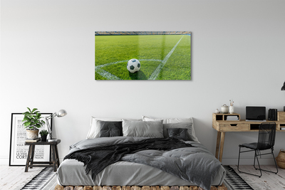 Acrylglasbilder Fußballstadion gras