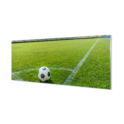 Acrylglasbilder Fußballstadion gras