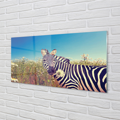 Acrylglasbilder Zebra blumen