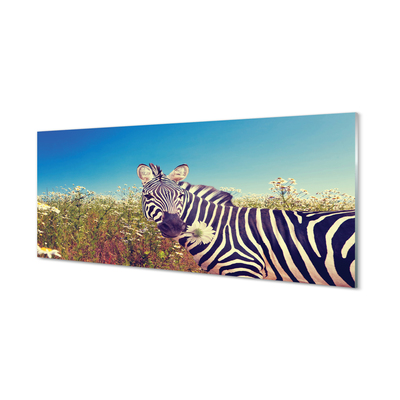 Acrylglasbilder Zebra blumen