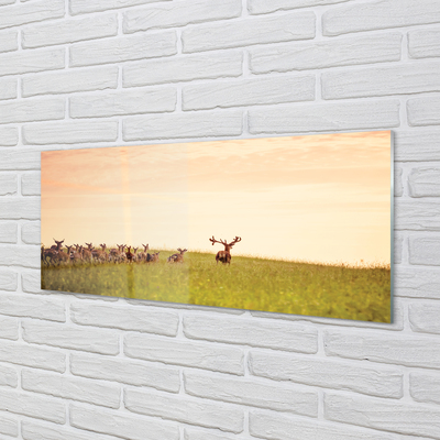 Acrylglasbilder Eine herde von rehen sonnenaufgang auf dem feld