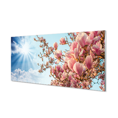 Acrylglasbilder Himmel sonne magnolia