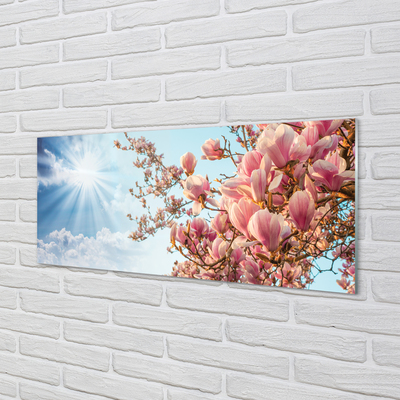 Acrylglasbilder Himmel sonne magnolia