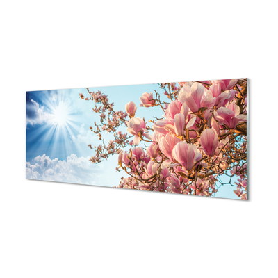 Acrylglasbilder Himmel sonne magnolia