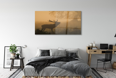 Acrylglasbilder Aufgang der sonne deer