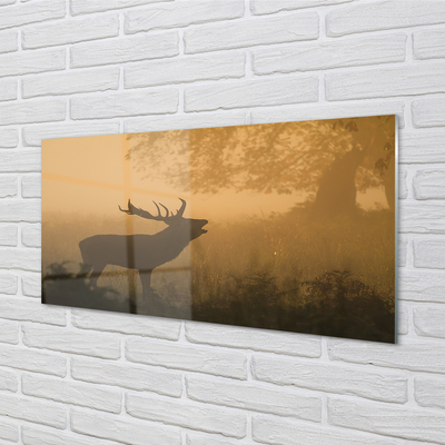 Acrylglasbilder Aufgang der sonne deer