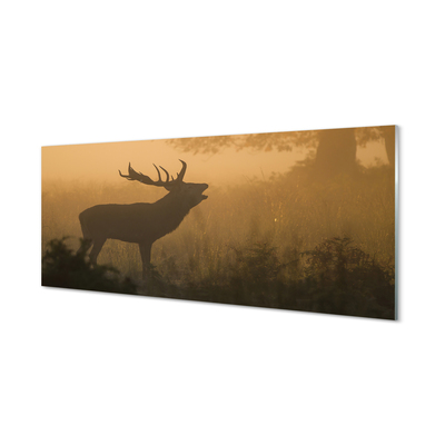 Acrylglasbilder Aufgang der sonne deer