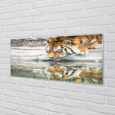 Acrylglasbilder Tiger drink