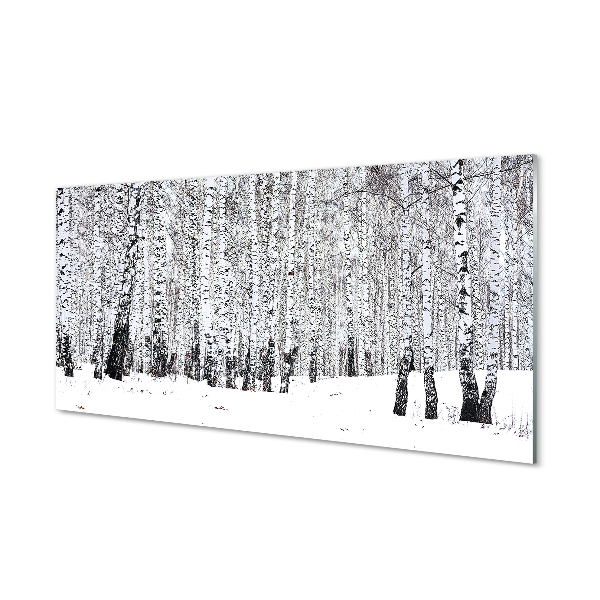 Acrylglasbilder Winter birken