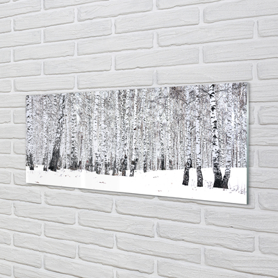 Acrylglasbilder Winter birken