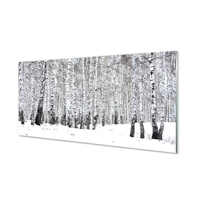 Acrylglasbilder Winter birken