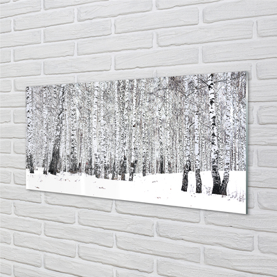 Acrylglasbilder Winter birken