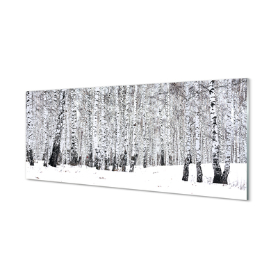 Acrylglasbilder Winter birken