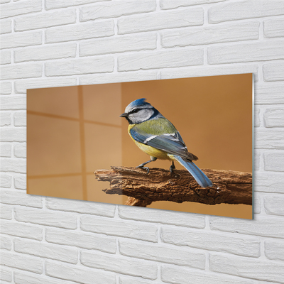 Acrylglasbilder Vogel