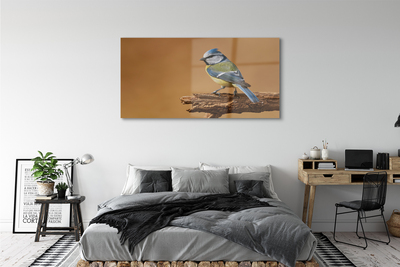 Acrylglasbilder Vogel