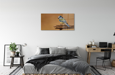 Acrylglasbilder Vogel