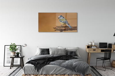 Acrylglasbilder Vogel