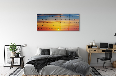 Acrylglasbilder Vögel auf sonnenuntergang seile