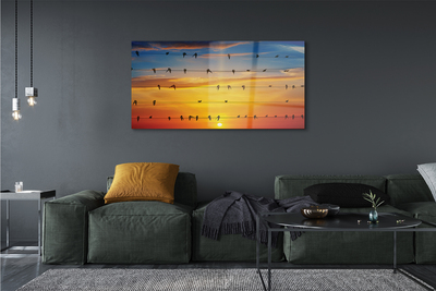 Acrylglasbilder Vögel auf sonnenuntergang seile