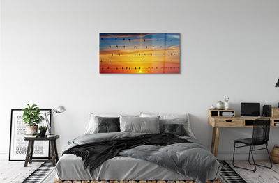Acrylglasbilder Vögel auf sonnenuntergang seile