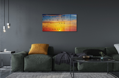 Acrylglasbilder Vögel auf sonnenuntergang seile