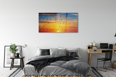 Acrylglasbilder Vögel auf sonnenuntergang seile