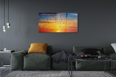 Acrylglasbilder Vögel auf sonnenuntergang seile