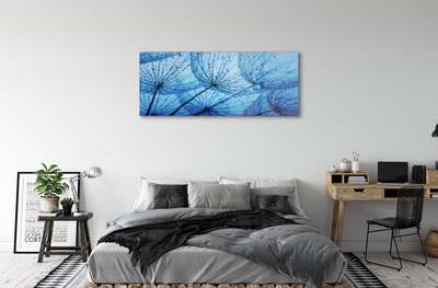 Acrylglasbilder Löwenzahn makro tropfen