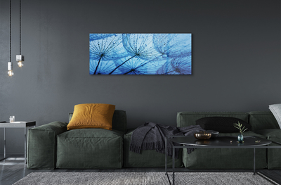 Acrylglasbilder Löwenzahn makro tropfen
