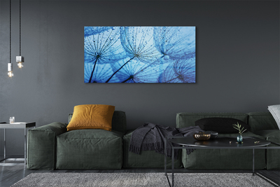Acrylglasbilder Löwenzahn makro tropfen