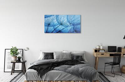 Acrylglasbilder Löwenzahn makro tropfen