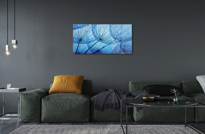 Acrylglasbilder Löwenzahn makro tropfen