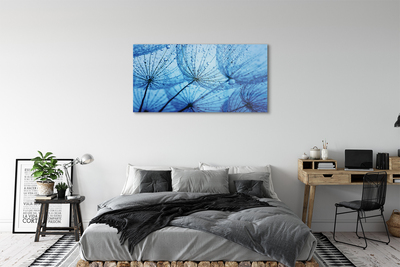 Acrylglasbilder Löwenzahn makro tropfen