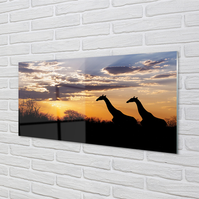 Acrylglasbilder Wolken girafes welle