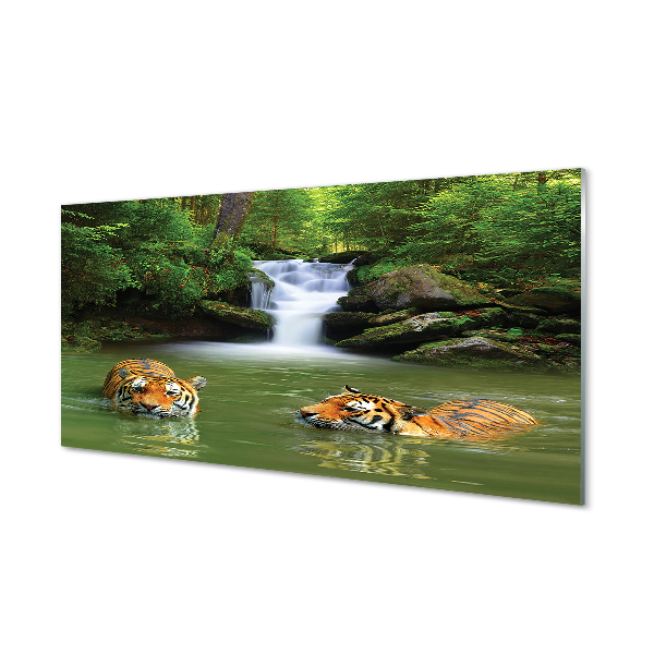 Acrylglasbilder Wasserfall tiger