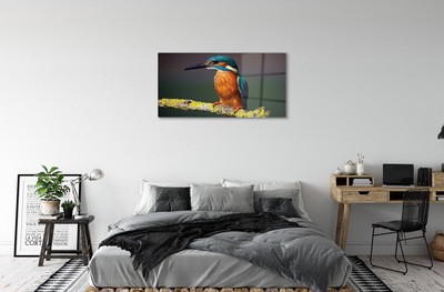 Acrylglasbilder Farbiger vogel auf einem ast