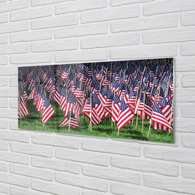 Acrylglasbilder Usa flags