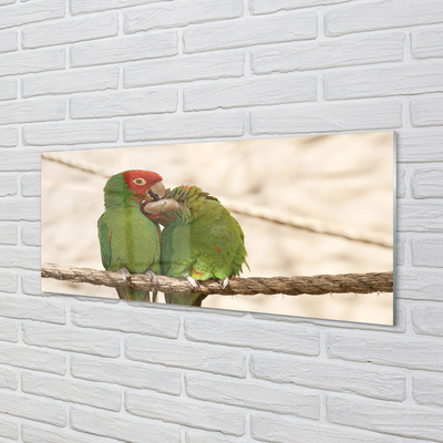 Acrylglasbilder Grüne papageien