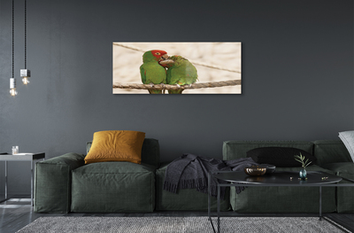 Acrylglasbilder Grüne papageien